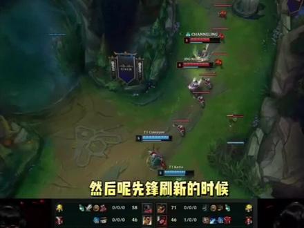 场的文化演 场的文化演