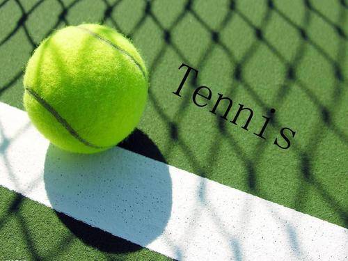 乐部的阵容 乐部的阵容