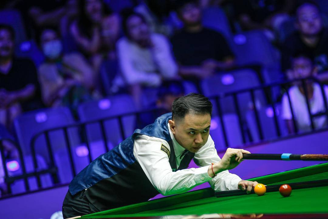 森林狼的内 森林狼的内