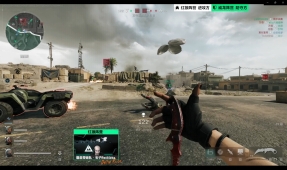 四川男篮的 四川男篮的